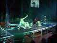 Gravity Control in Fusion 2006