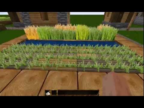 how to fertilize wheat