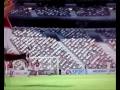 Bramka fifa -Krzynówek