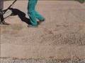 Preparación del terreno para sembrar césped