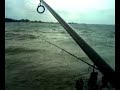 lac du der amelynck carp team