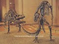 \"Dinotopia: The Fantastical Art of James Gurney\" intro