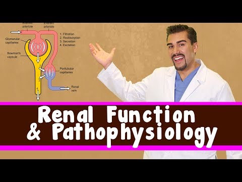 how to treat low gfr