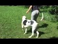 Cliquez pour voir la vid�o