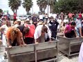 FIESTAS DE LA VENDIMIA 2011