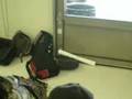 videos de Joe Cowrins wacky dhs animal adventure