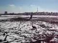 雪だるまと闘うジャッキーバウワウ