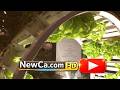 NewCa.com: 2011 Canada Blooms: Gardens Of Aden