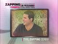 CualZappingCerdo VIII