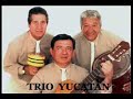 trio yucatán   um show classe a