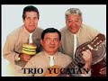 trio yucatán   um show classe a
