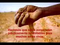 cambio climático  consecuencias 