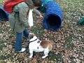 Max Bulldog a tunel 2