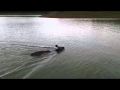 Kudu Rescue