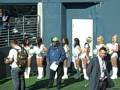 Seagals