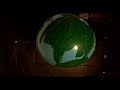 The Best Short Films in the World : Best Short Films : Teaser