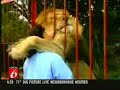 accident lion sweet