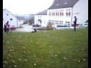 reely cougar 41 Sprnge reely cougar 41 Sprnge