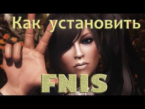 how to install fnis properly