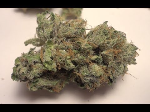 how to cure tahoe og