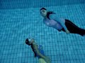 033?Happy Dive??