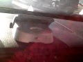 (uploaded by Glam15)&nbsp;in driving car 