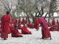 Monks Debating, Sera Monastery, Lhasa
