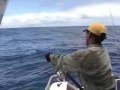 Extremeanglers Samson Jigging