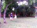 The Rope Swing