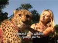 Experience Nelson Mandela Bay in South Africa www.southafrica.net