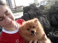 selinho-da-coca.html