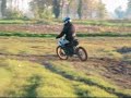 CDC -rivolta d\ CDC -rivolta d\
