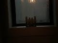 TORNADO HITS NY PART 1