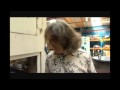 James May - Meccano - THE RAVE