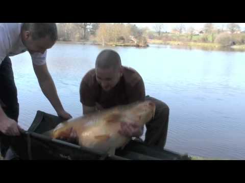 Landing the 50lb'er, Mar 2012 Landing the 50lb'er, Mar 2012