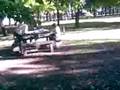 videos de Documental sobre el hombre rata