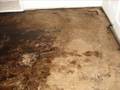 Mastic Removal October 2008