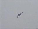B-2 Stealth fly-by B-2 Stealth fly-by