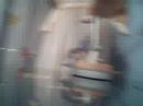 mi hamster