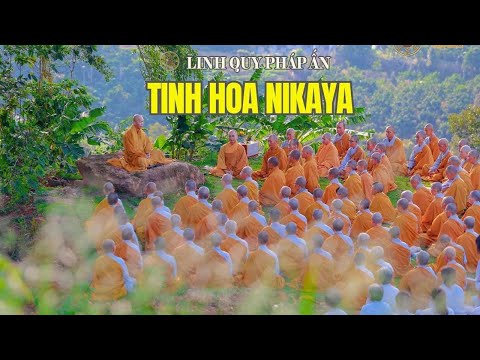 Tinh Hoa NIKAYA - Năm Cách Tác Ý Để Hết Giận - Tâm Thương Dễ Chịu*