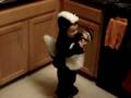 videos de MOV02784.MPG