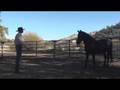 Jermey Dunn weekend training