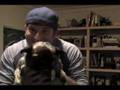 Owned by a PUG!!! Jerry and Ron