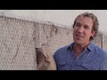 Click here to watch this video Brother White - 
