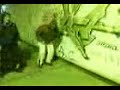 Galenika - U tvojim kolima