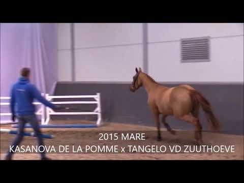 PIA MARIA FREE JUMP MARCH 2018