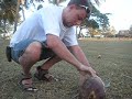 jeden z bistra a kokos - CUBA 2007 jeden z bistra a kokos - CUBA 2007