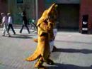Kangaroos dancing in the streets Kangaroos dancing in the streets