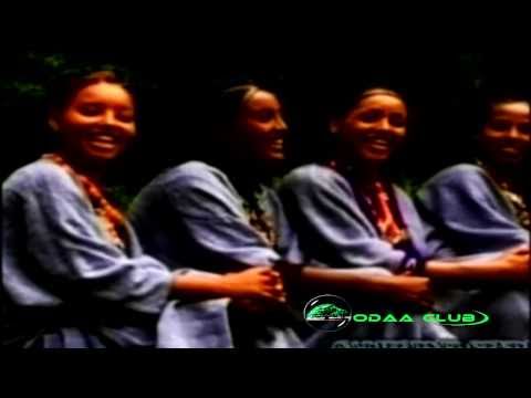 Wollo Music - Oromo Music. Niin deema niin deema Wollo Dance.