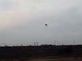 beam e4 flying by rokie son